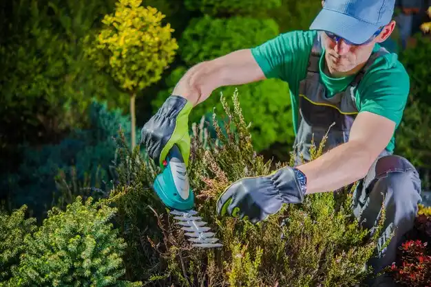 landscaping services Hiram